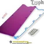 Massive LS Gen III Valley Plate Purple w Gasket