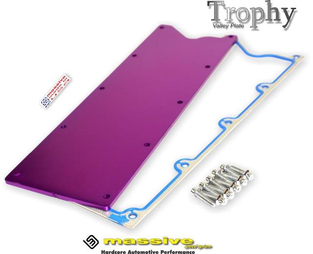 Massive LS Gen III Valley Plate Purple w Gasket