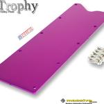 Massive LS Gen III Valley Plate Purple