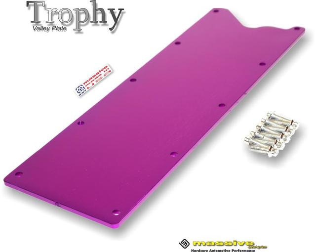 Massive LS Gen III Valley Plate Purple