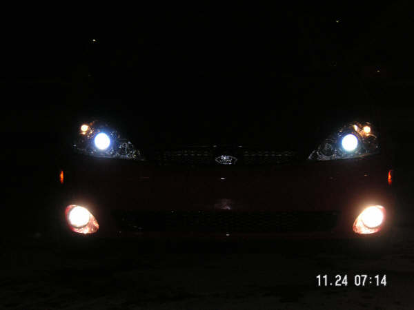 HIDS GLOWING