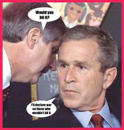 Bush_Hit_It.jpg