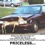 Car_With_Deer.jpg