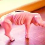 Gas piggy bank