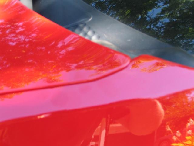 Hood covering Left Fender