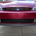 Painted lower mesh grill
