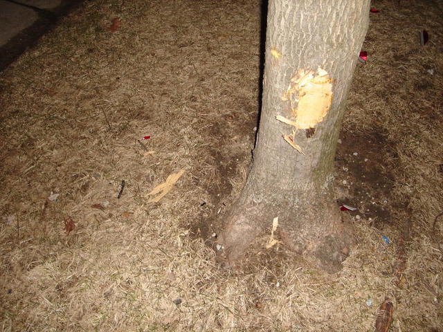 DSC00869.JPG