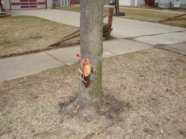 DSC00878.JPG