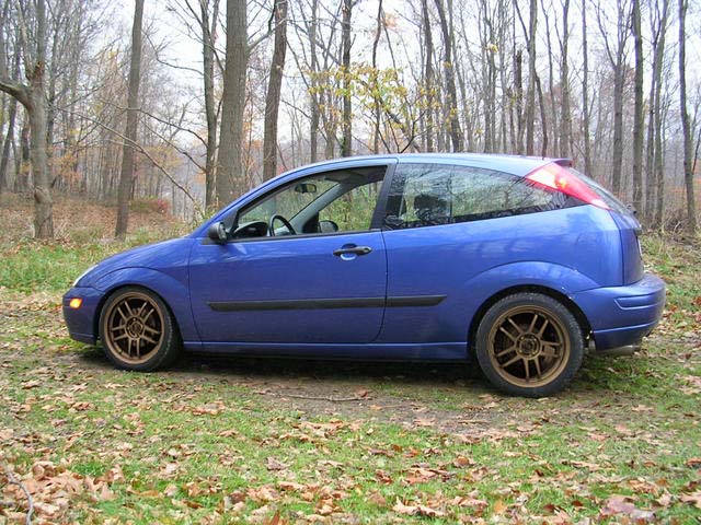 blue focus copy