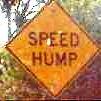 speed hump