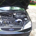 Focus sport CAI pictures