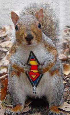super-squirrel.jpg
