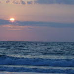 S4200116.JPG