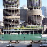 chicago aquarium 005.jpg