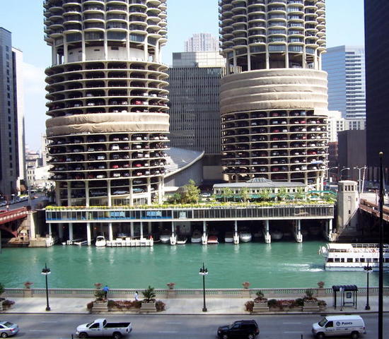 chicago aquarium 005.jpg