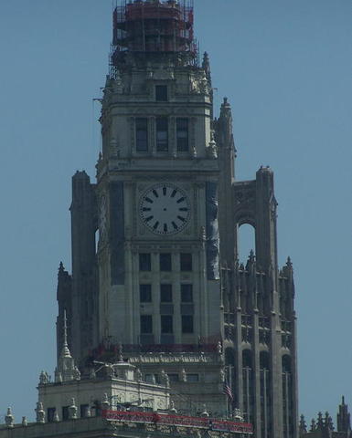 chicago aquarium 018.jpg