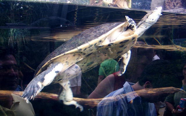 chicago aquarium 094.jpg