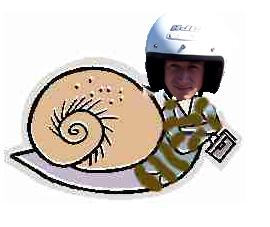 KC_Snail