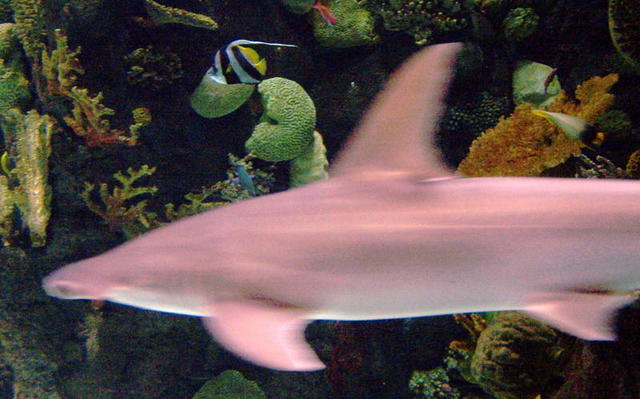 100_3381.JPG