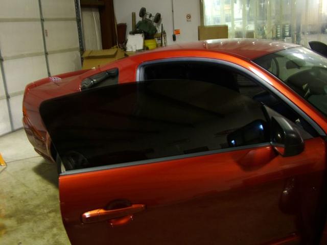 MMM Mustang Tint 1