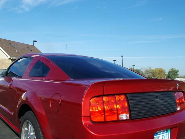 MMM Mustang Tint Rear