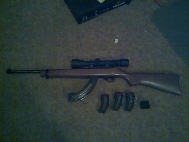 10_22rifle