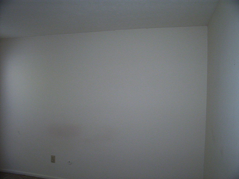 DCP_3821.JPG