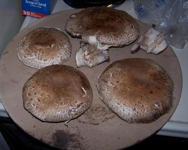 100_6286.JPG