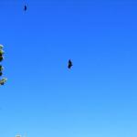 IMG_1411.JPG