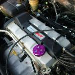 Massive Oil Cap on SVT