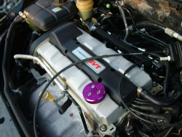 Massive Oil Cap on SVT