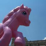 100_7714.JPG