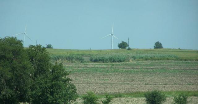 100_8191.JPG