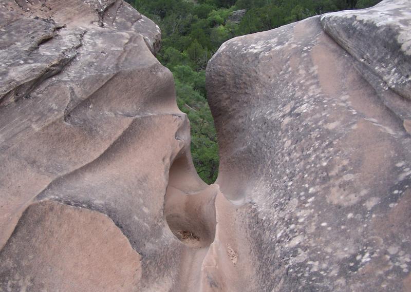 100_8317.JPG