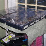 100_8693.JPG