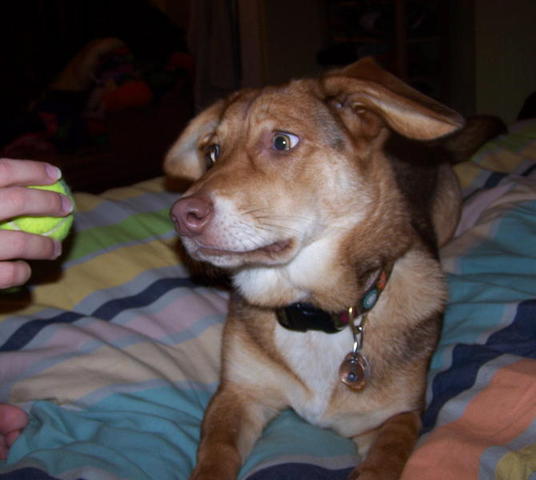 100_9465.JPG