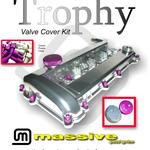 Massive Duratec Valve Cover Kit