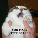 kittyscared