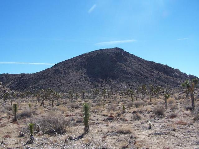103_9710.JPG