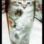 CAT IN GLASS