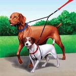 DD-LEASH-Sporn-Double-Dog-Leash-Double-dog-leash-for-walking-two-dogs