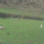 2013-04-28_14-54-27_270.jpg