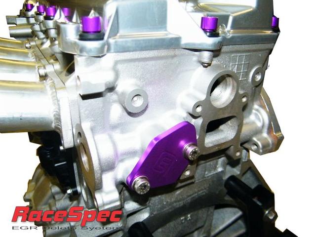 Massive Duratec EGR Delete System on head