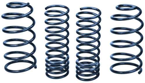 Ford Racing Focus Springs M-5560-ZX3B