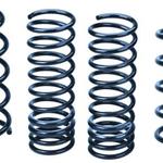 Ford Racing Focus Springs M-5560-ZX3B