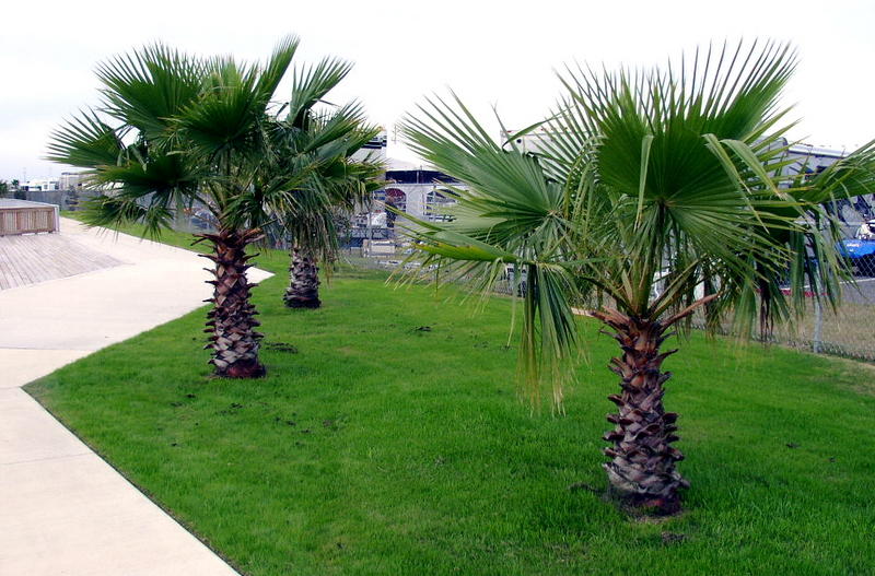 P1290016.JPG