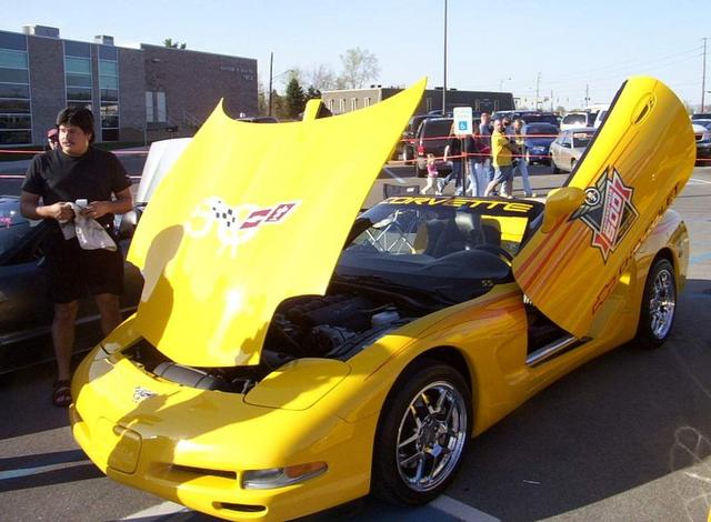 corvette doors 2.JPG