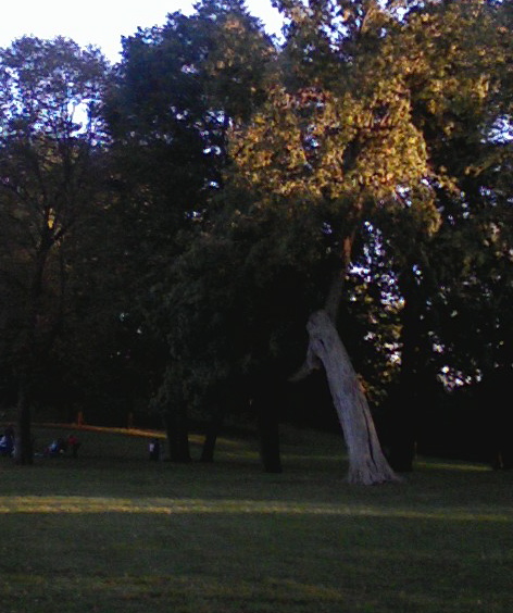 675A0048.JPG
