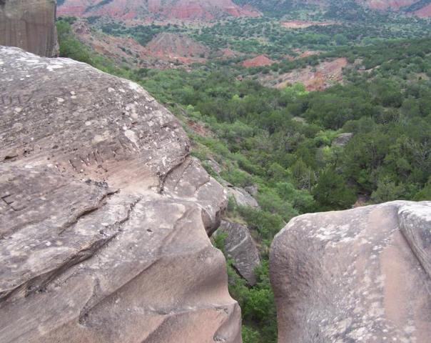 100_8319.JPG