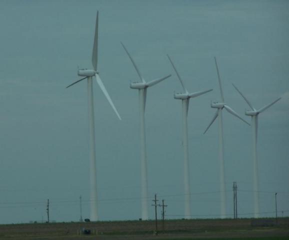 100_8397.JPG